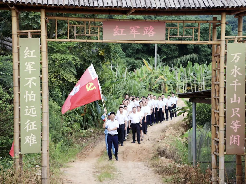 迎七一，福建农信各级党组织主题党日活动形式多样接地气