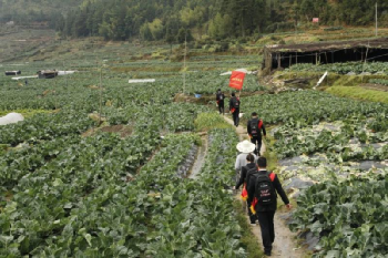 福建农信：牢记嘱托，为决战决胜脱贫攻坚与成果拓展巩固注入金融动能